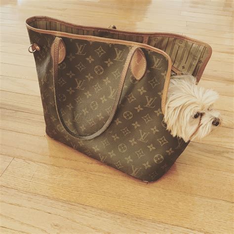 louis vuitton mini dog backpack|louis vuitton backpack mini price.